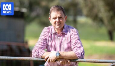 SA independent MP Nick McBride charged with assault