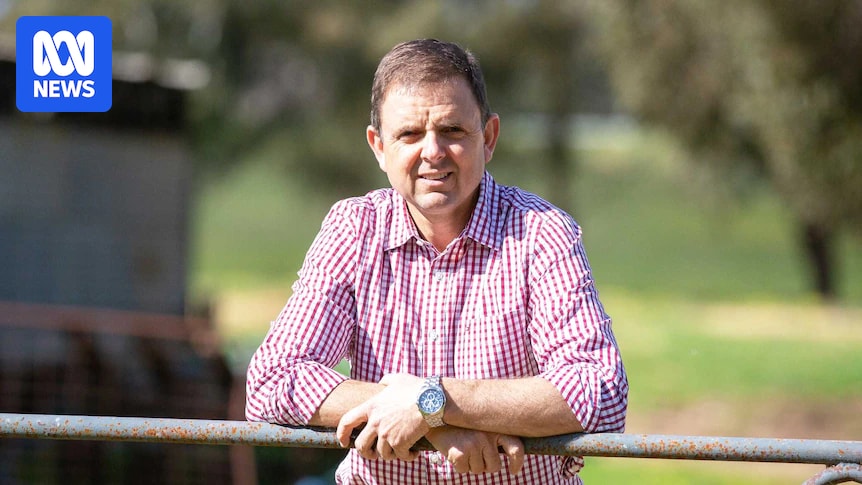 SA independent MP Nick McBride charged with assault