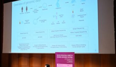 Japan Eyes Ban on Gene-Edited Babies