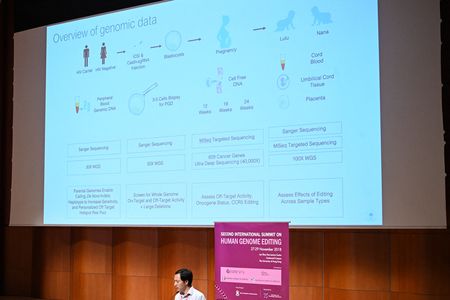 Japan Eyes Ban on Gene-Edited Babies