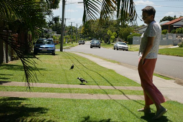 Conroy’s yard has become a grave for the neighbourhood’s birds.