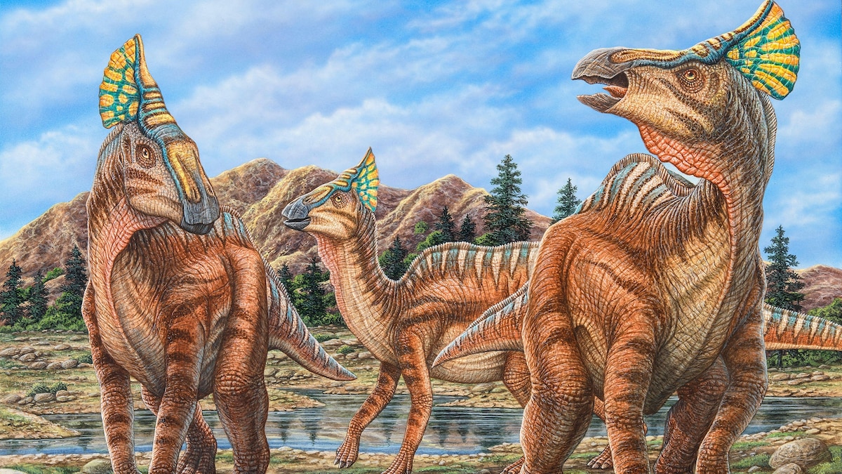 Inside the bone-crushing mating rituals of dinosaurs