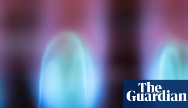 Why are Australians paying so much for gas – and will Labor’s new scheme bring down prices? | Energy