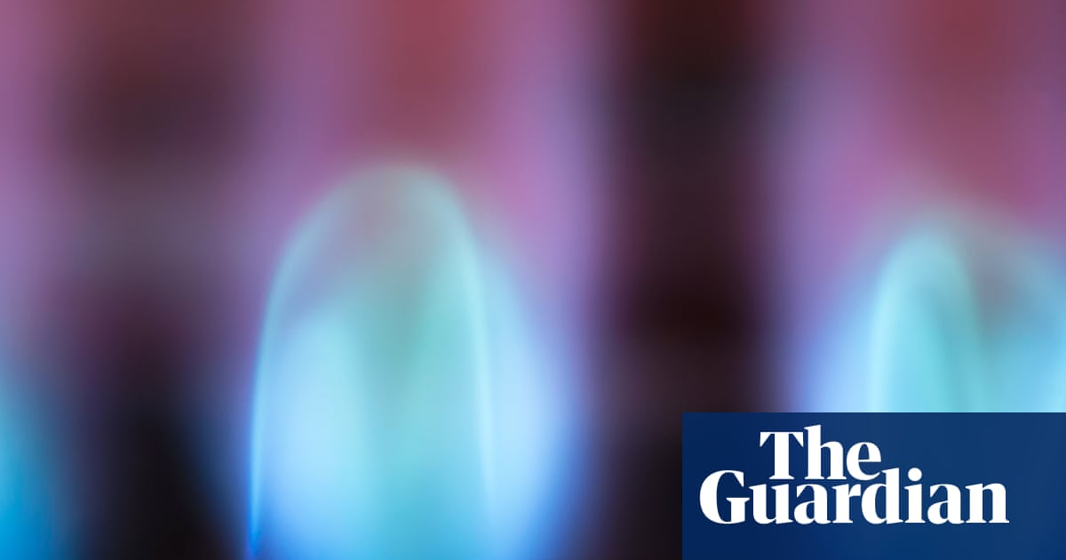 Why are Australians paying so much for gas – and will Labor’s new scheme bring down prices? | Energy