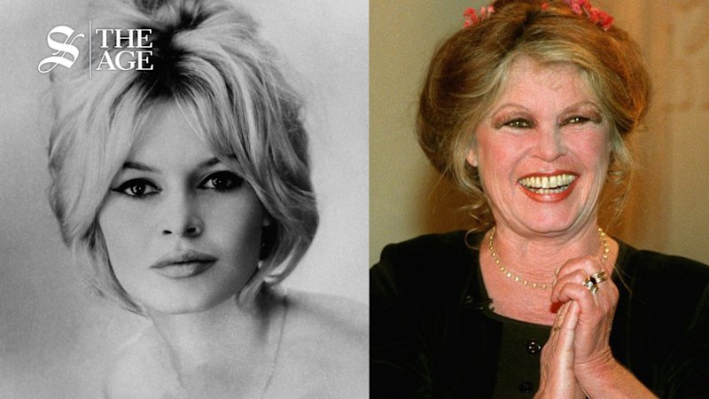 Screen icon and animal rights activist Brigitte Bardot has died
