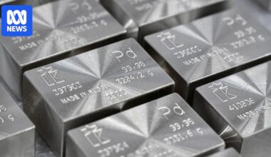 Gold, silver and palladium prices pull back sharply, worrying some economists