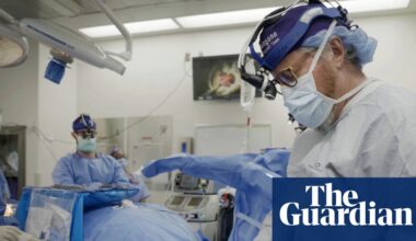 Pig organ transplants could one day be superior to human ones, says expert | Medical research