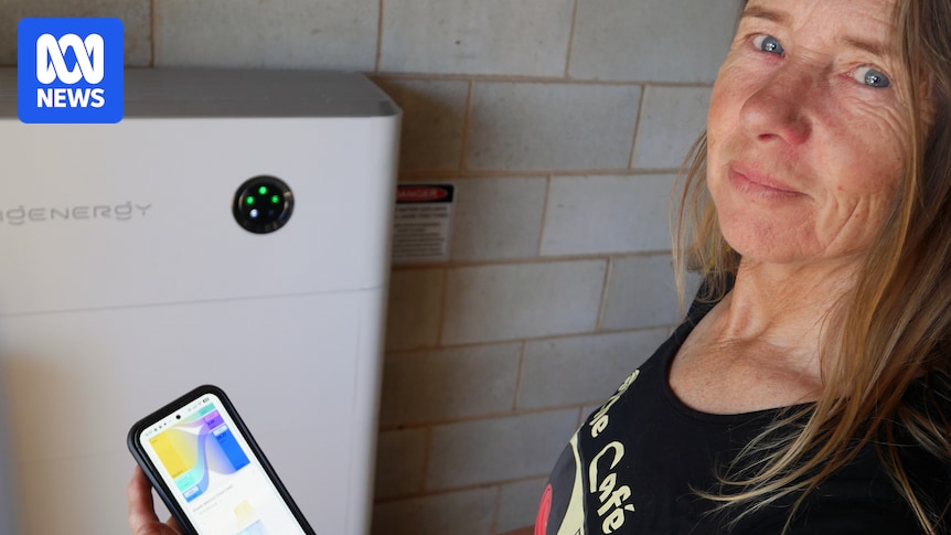 Household battery uptake booms on back of 'game-changer' rebate