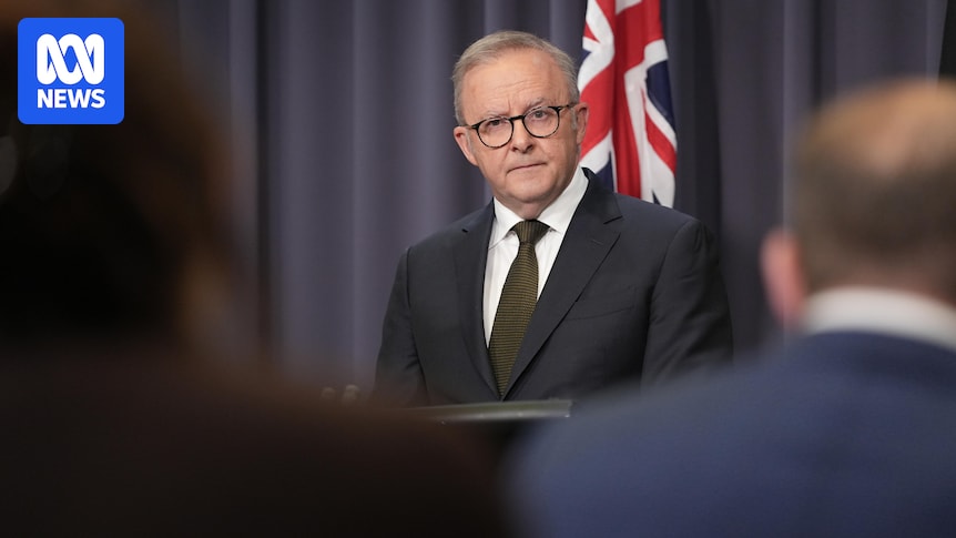Anthony Albanese announces terms for Richardson review of Bondi terrorist attack