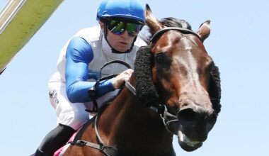 Seeiaye is one of the leading contenders for the Magic Millions. Picture: Getty Images.