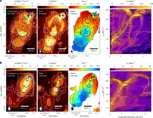 41550 2025 2716 Fig1 Html