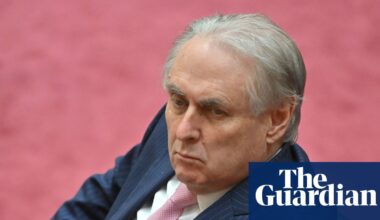 Labor minister Don Farrell claimed $9,000 for family travel during sports events and theatre showings | Australian politicians' expenses