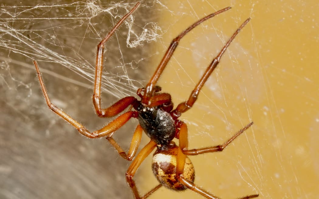 Researchers are investigating 