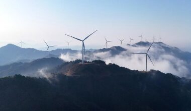 Academic journal Science names renewable energy surge 2025 Breakthrough of the Year - news.cgtn.com