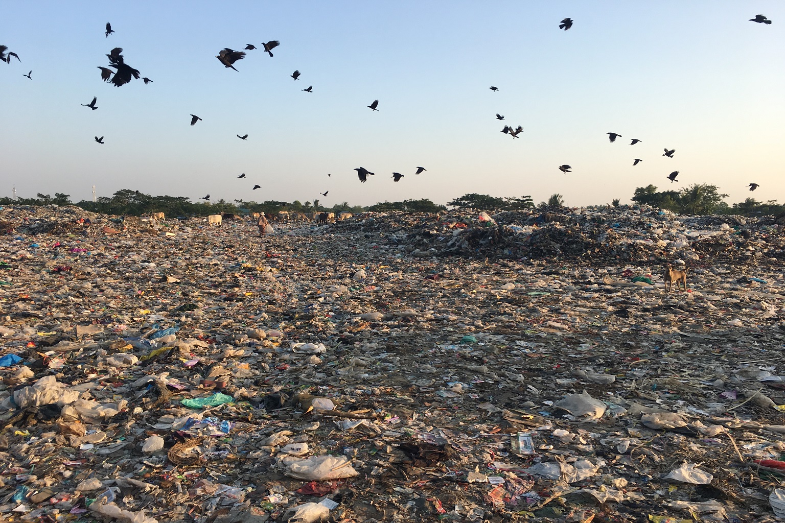 An open landfill in Myanmar. RDF proponents say it could be a solution to growing landfill and pollution problems.