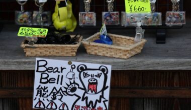 Japan’s bear-related casualties hit record on escalating attacks