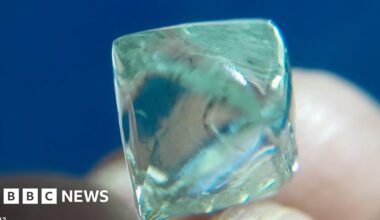 Two friends dig up diamond 'worth $55,000' in Panna