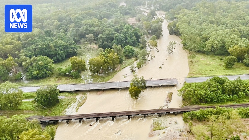 Wet season's arrival prompts moves to shore up food security in Far North Queensland