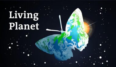 What we get wrong about eating protein – DW – 12/12/2025