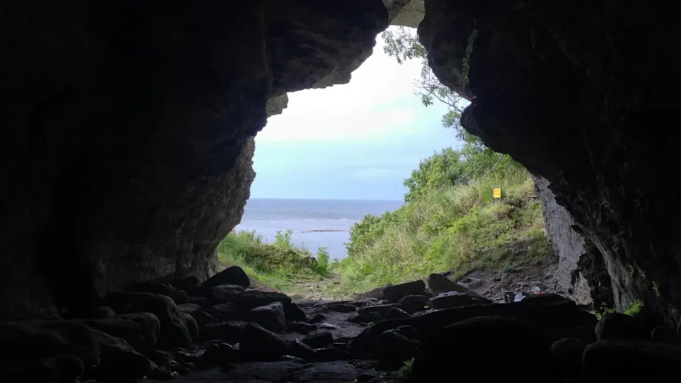 A view from the Stora Förvar cave on the island of Stora Karlsö in Sweden (Stockholm University)