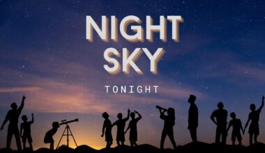 graphic with night sky in large font and silhouettes of people below looking up at the night sky.