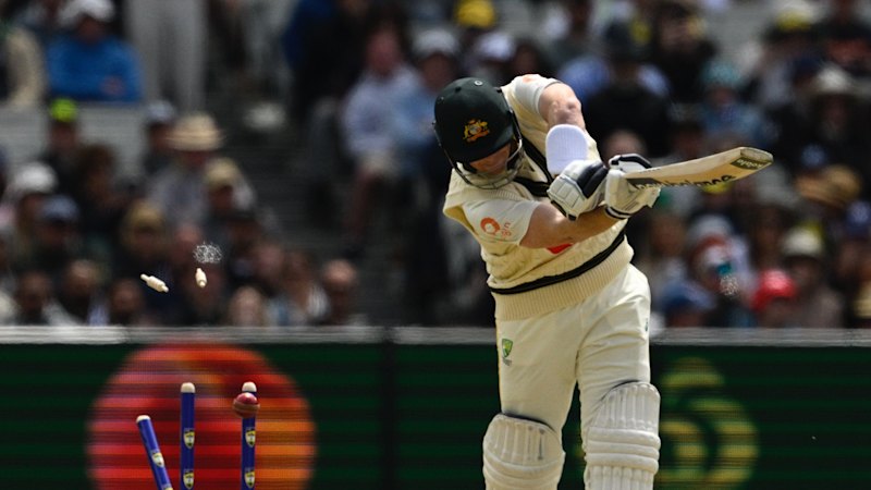 Why 10 millimetres of MCG grass made batting a nightmare in the Ashes Test
