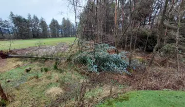 Cathkin Braes Golf Club shares winter course maintenance update