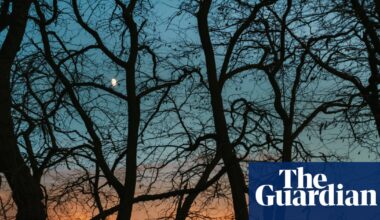 ‘There is a crack in everything’: capturing the dark of winter – in pictures | Photography