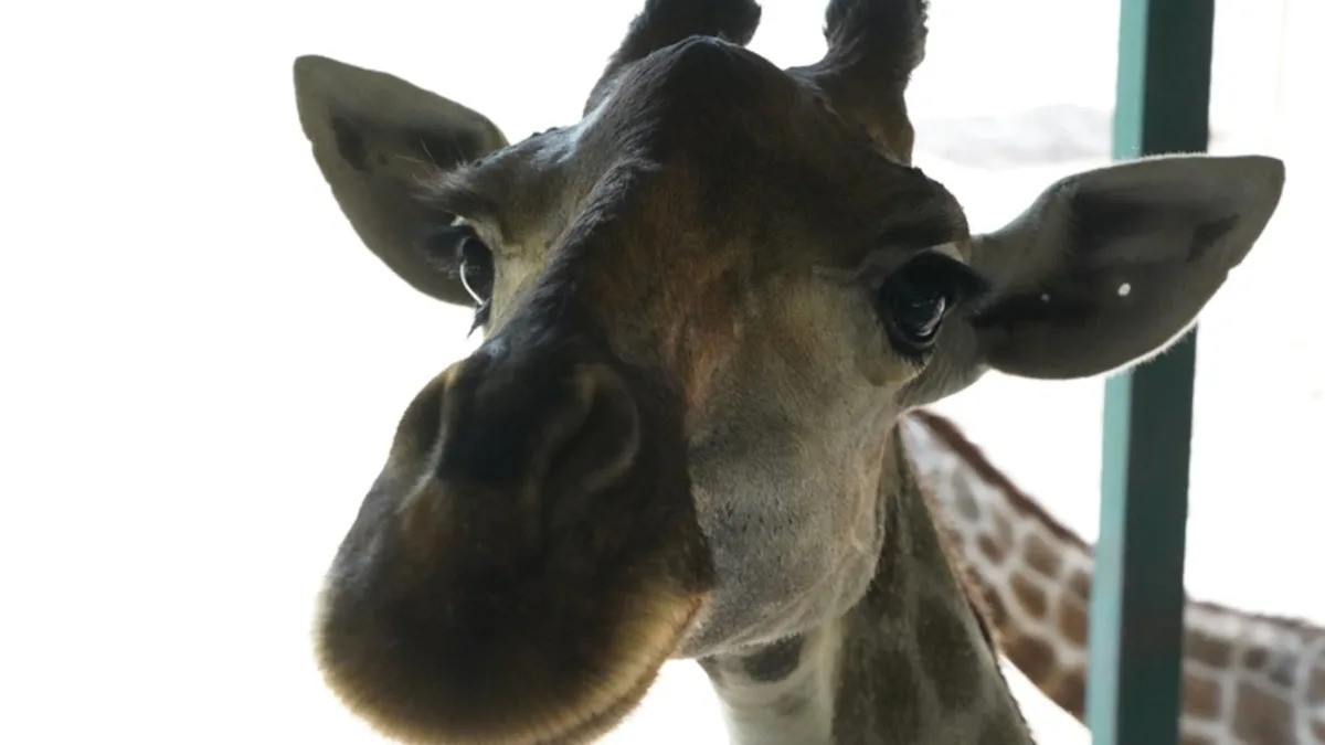 Yahoo lifestyle home