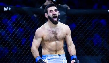 the risks of excessive punishment in MMA