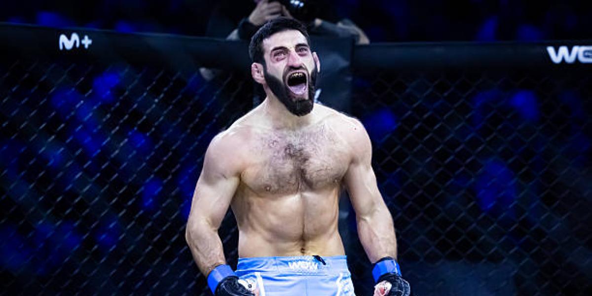 the risks of excessive punishment in MMA