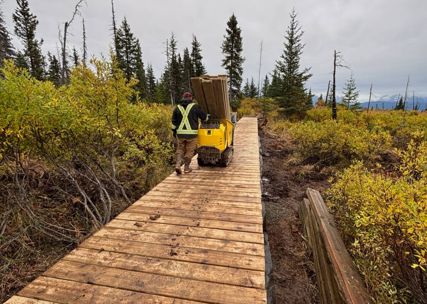 Homer Cycling Club Receives $250K Grant to Expand Eastland Trails Project