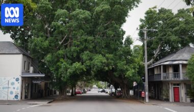 'White Australia' flyer letterbox drop in Newcastle sparks police investigation