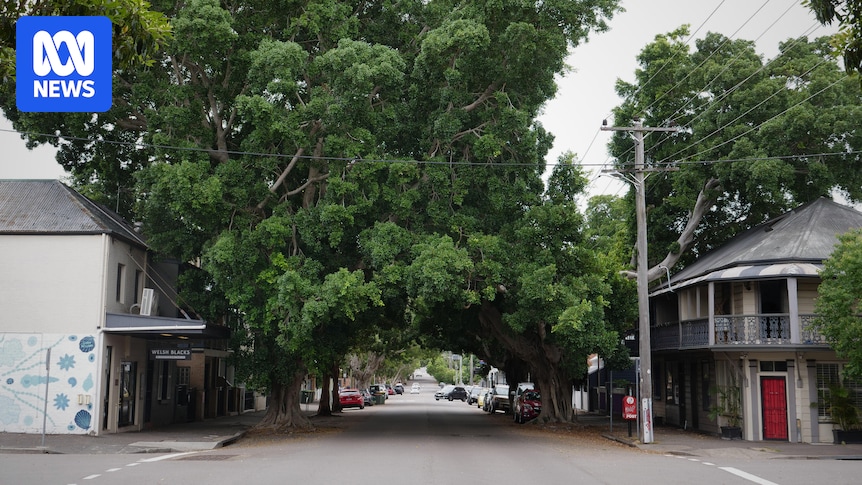 'White Australia' flyer letterbox drop in Newcastle sparks police investigation