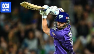 Hobart Hurricanes beat Melbourne Renegades thanks to vital cameo from Matthew Wade