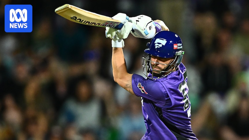 Hobart Hurricanes beat Melbourne Renegades thanks to vital cameo from Matthew Wade