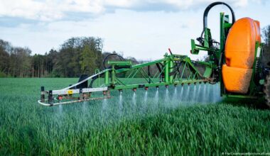 Is Europe turning away from climate protection? – DW – 12/11/2025