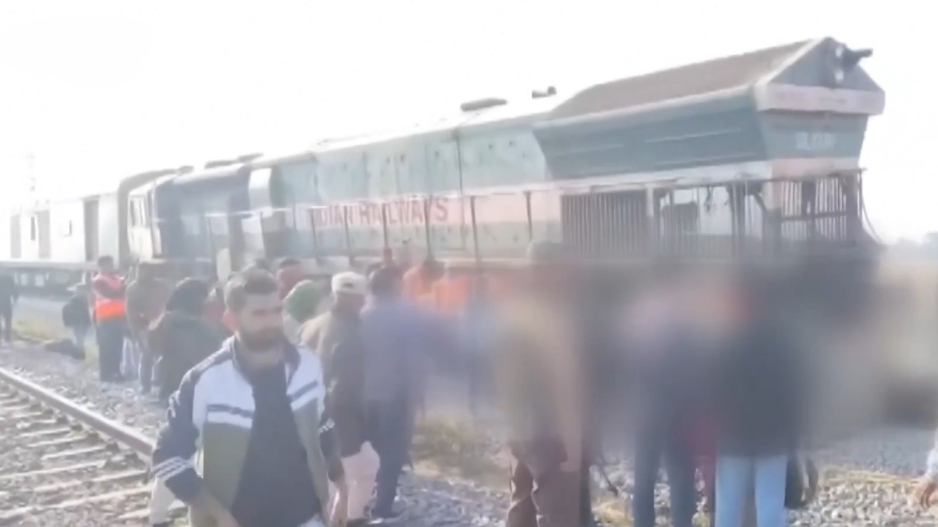 At least seven elephants killed in train crash in northeast India