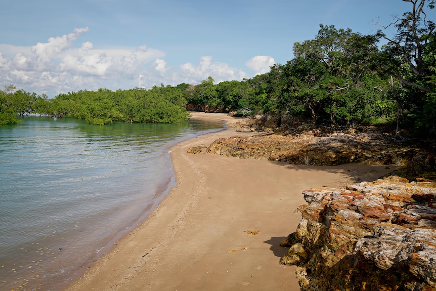 A beach with monsoon in the treeline and water