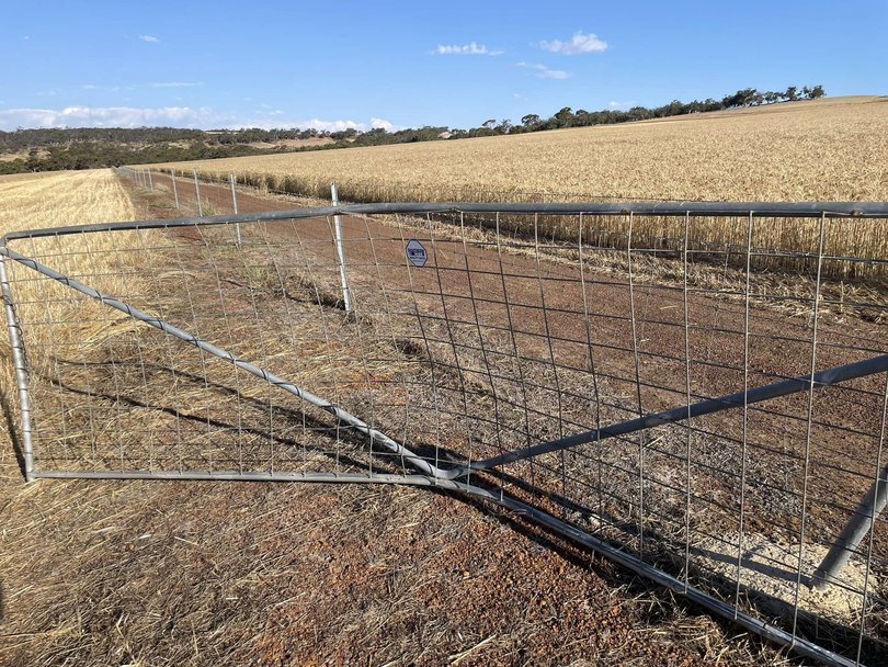 The gate that 10-year-old Gus crashed into. Picture: Unknown