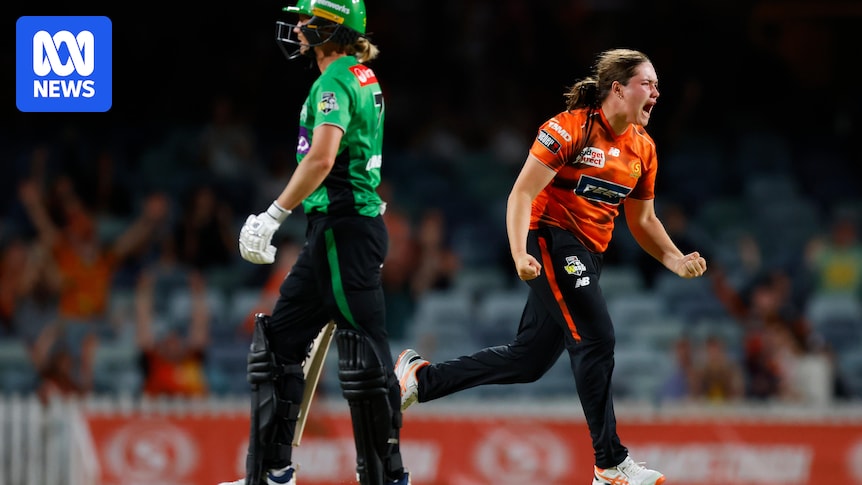 Scorchers take aim at Sixers ahead of WBBL semifinal after eliminating Stars in knockout final