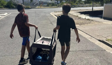 Aussie brothers' heroic act after witnessing 'distressing' scene during scorching day