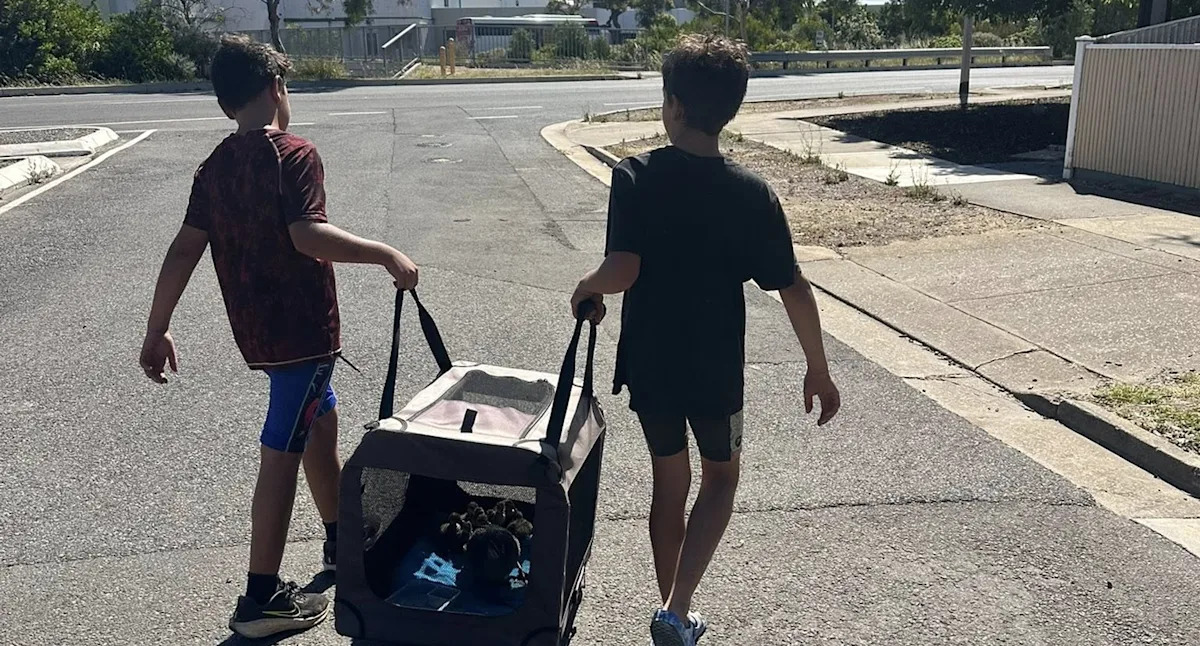 Aussie brothers' heroic act after witnessing 'distressing' scene during scorching day