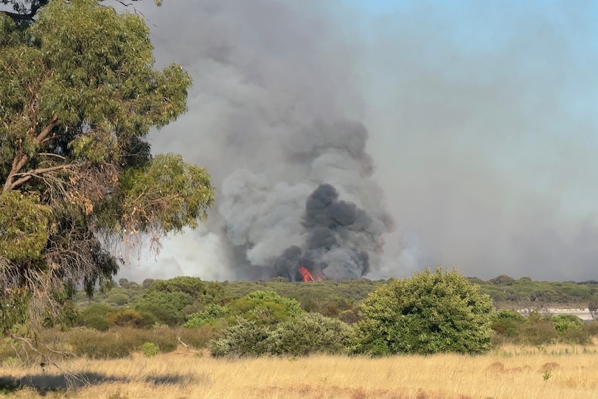 Smokefrom a bushfire rises over the horizon with bush and scrubland in the foreground.