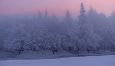 Winter solstice: longest night of the year