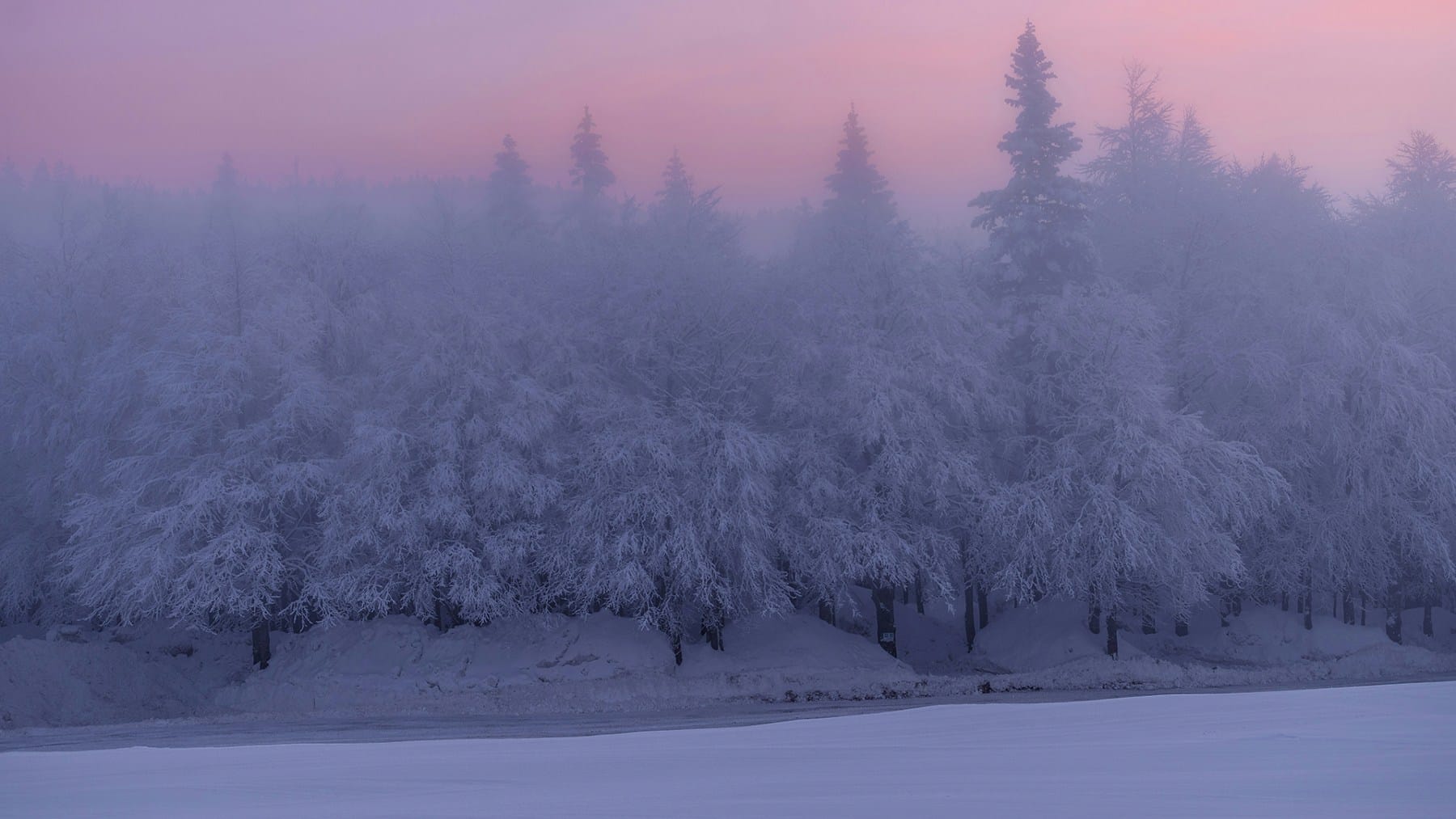 Winter solstice: longest night of the year