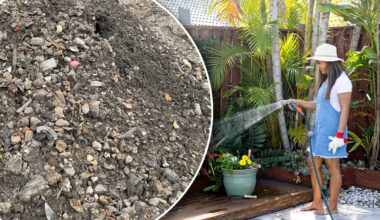 Aussie residents warned about 'free' backyard offer after $6,000 in fines handed out: 'You're responsible'