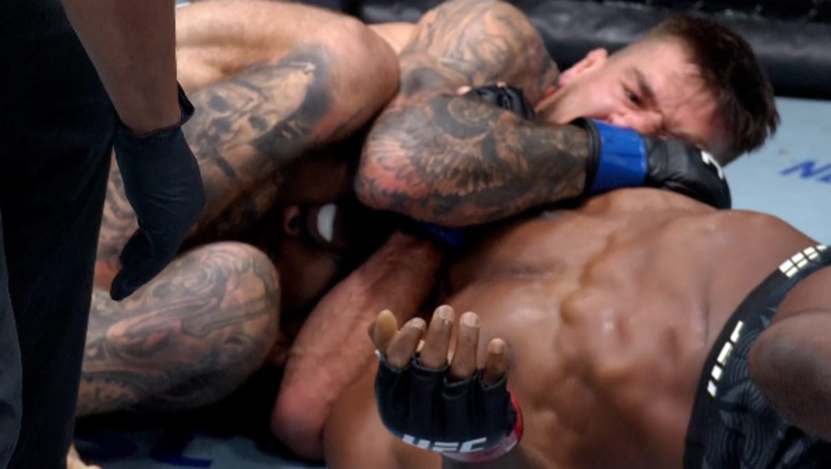 Submission of the Month for December 2025: Yaroslav Amosov