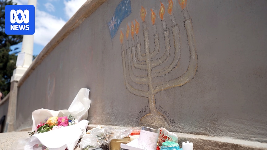 Sending army to protect Sydney's Jewish community not ruled out by NSW premier