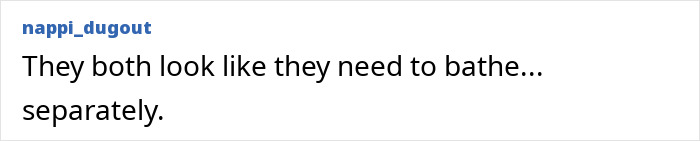 Comment text on a social media post expressing a humorous take on Britney Spears’ bikini slip and yacht kiss incident.